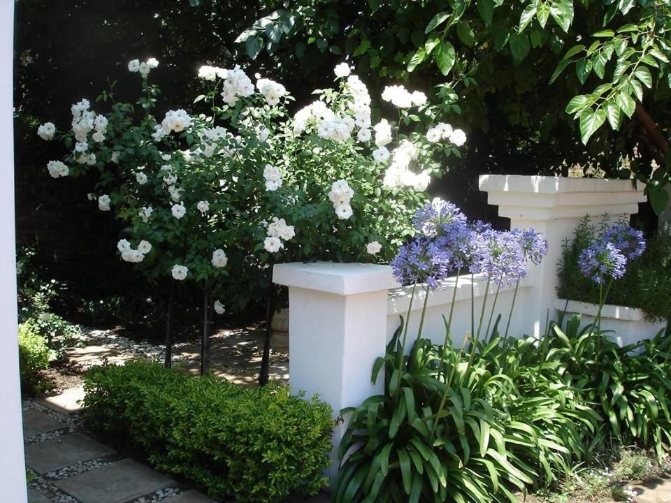 Oxnead Guesthouse Pretoria-Noord Exterior foto